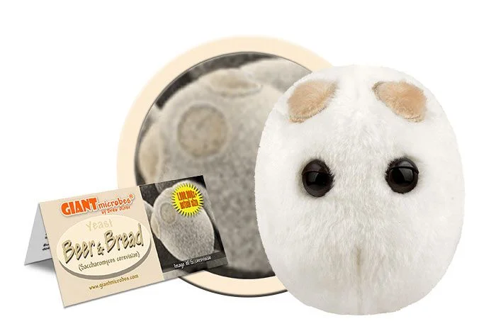 Cheerful and happy stuffed figuresBeer & Bread (Saccharomyces Cerevisiae) - GIANTmicrobes® Plush Toy Cheerful and happy stuffed figuresBeer & Bread (Saccharomyces Cerevisiae) - GIANTmicrobes® Plush Toy