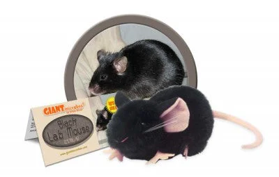 Adorable and tiny stuffed crittersBlack Lab Mouse - GIANTmicrobes® Plush Toy