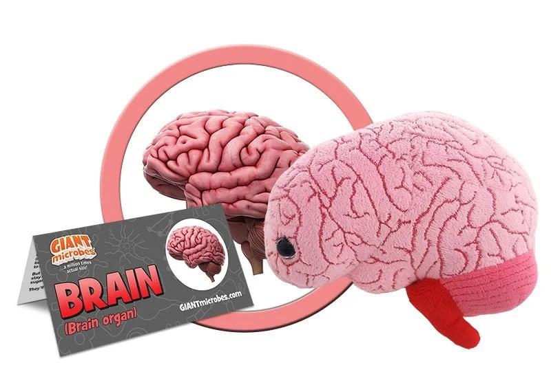 Fluffy and warm toy companionsBrain - GIANTmicrobes® Plush Toy