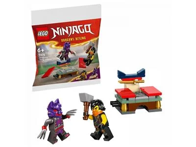Encouraging exploration and discovery LEGOLEGO® NINJAGO® Tournament Training Ground 30675 Encouraging exploration and discovery LEGOLEGO® NINJAGO® Tournament Training Ground 30675