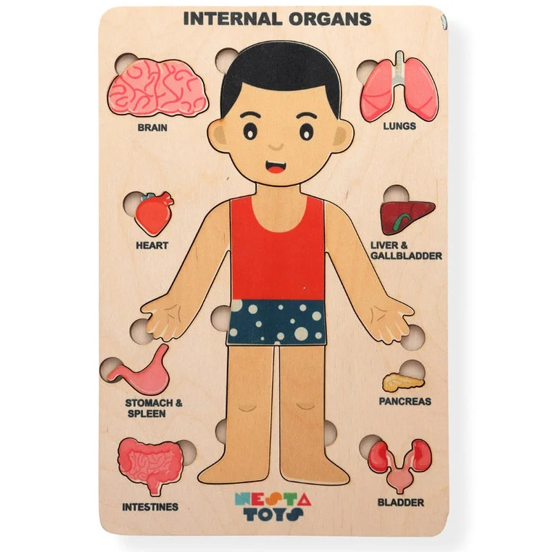 timeless classic wooden toys                   Human Body | Internal Organs Wooden Puzzle