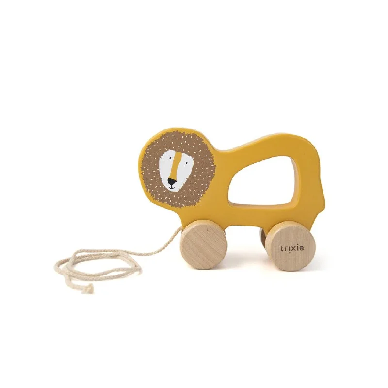 detailed and intricate wooden toys                   Trixie Wooden Pull Along Toy - Mr Lion