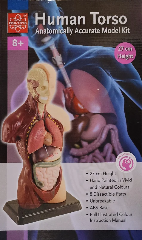 Fun gamesHuman Torso