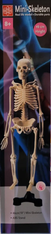 Strategic puzzles Mini- Skeleton