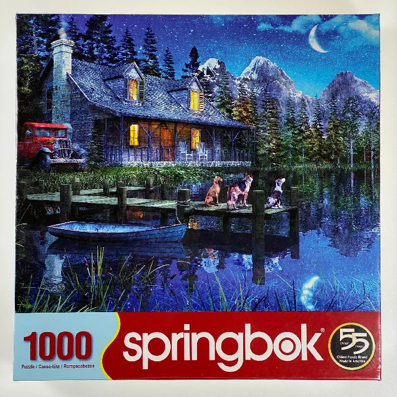 Educational games Moonlit Night 1000 Piece Puzzle