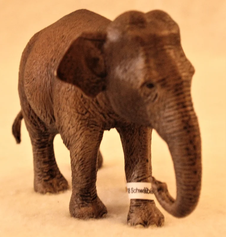 Relaxing games Schleich - Asian Elephant, Female