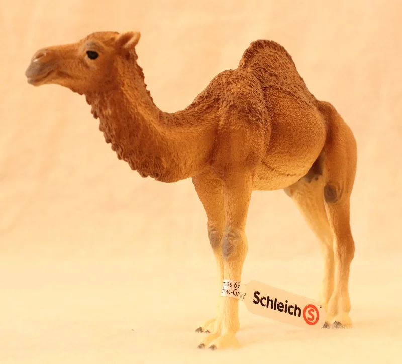 Social games Schleich - Dromedary