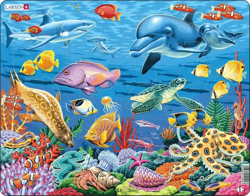 Age-appropriate puzzles Coral Reef Shaped Piece Tray Puzzle